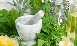 homeopatia homeopatia